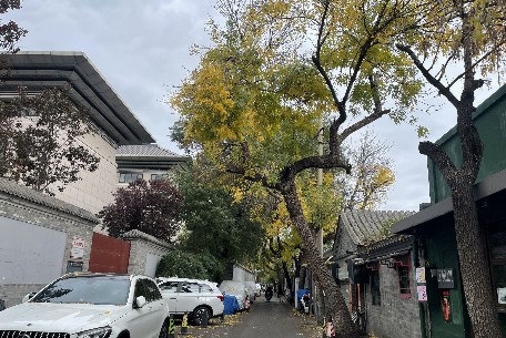 琉璃寺胡同：古韵今风的胡同记忆